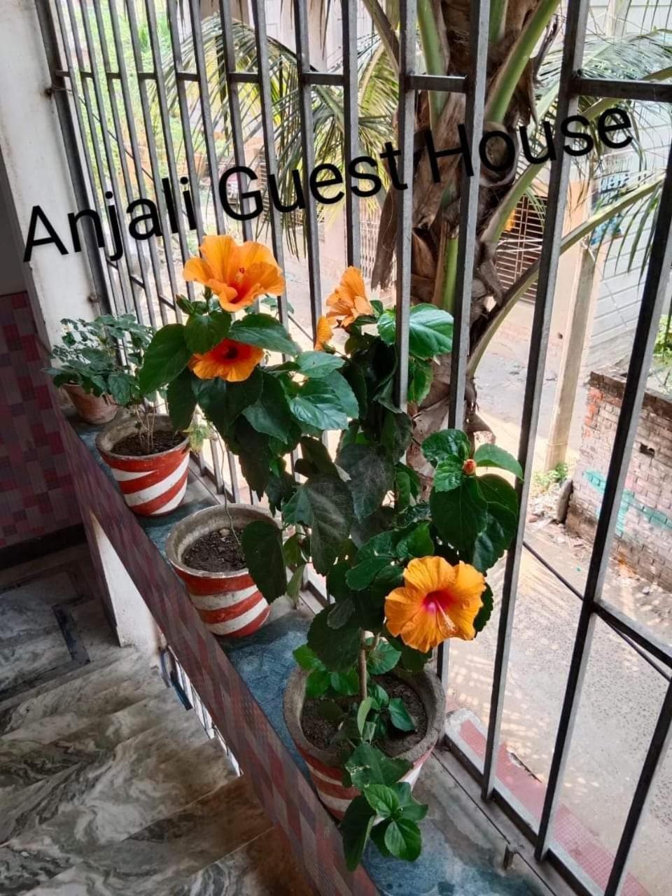 Anjali Guest House 迪卡 外观 照片